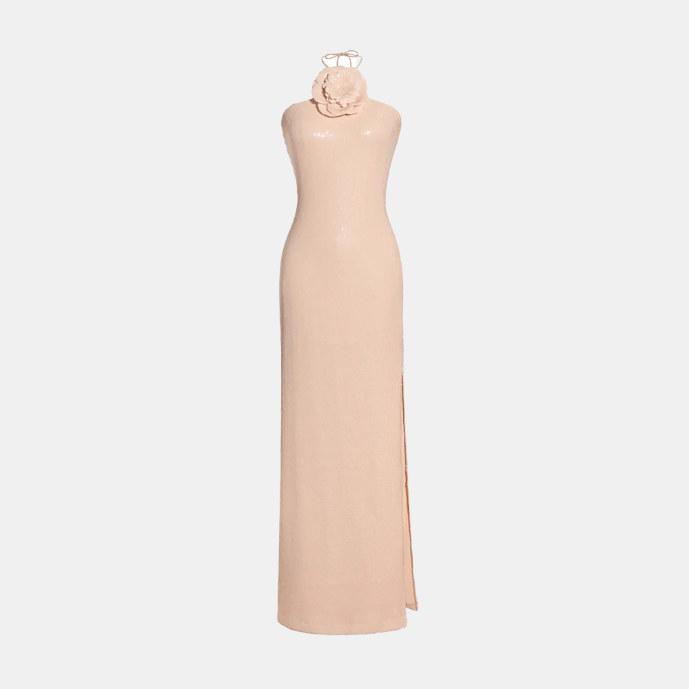 Élina | Rose Éclat
